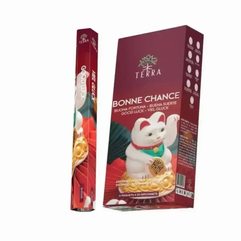 Senteurs - Encens Terra Bonne Chance hexa sans charbon - ARABESK