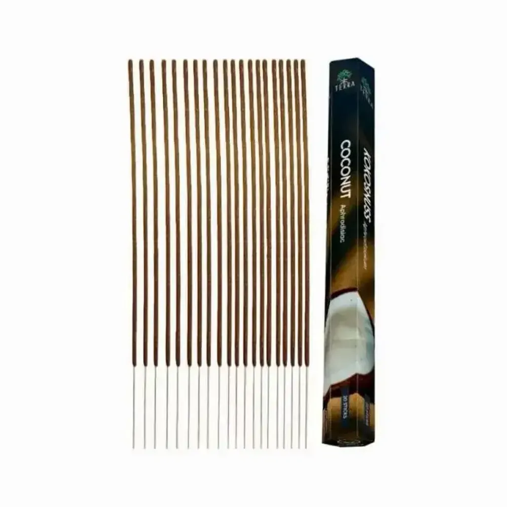 Senteurs - Encens Terra Noix de Coco hexa sans charbon - ARABESK