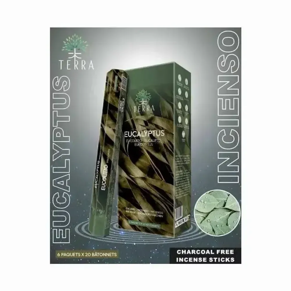 Senteurs - Encens Terra eucalyptus hexa sans charbon - ARABESK