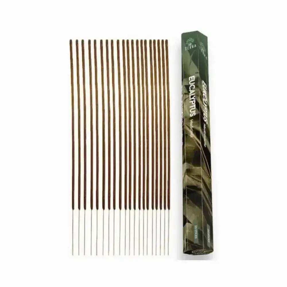 Senteurs - Encens Terra eucalyptus hexa sans charbon - ARABESK