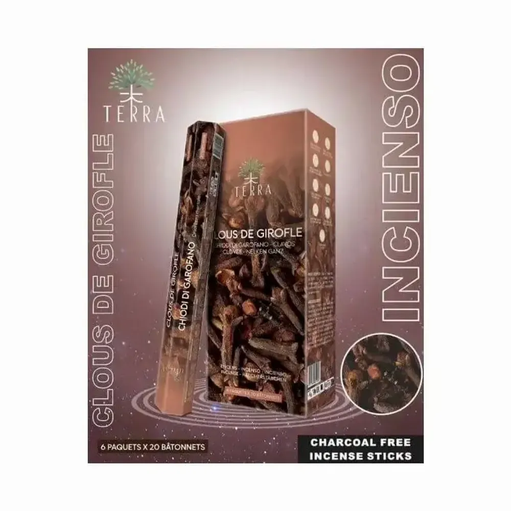 Scents - Terra clove hexa incense without charcoal 30grs - ARABESK
