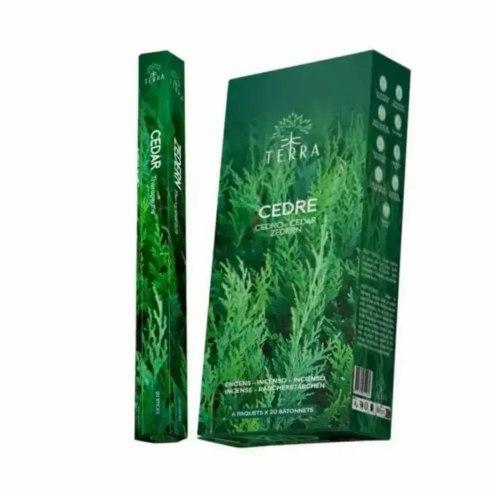 Scents - Terra cedar hexa incense without charcoal 30grs - ARABESK