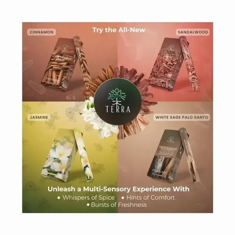 Scents - Terra anti-tobacco incense hexa without charcoal 30grs - ARABESK