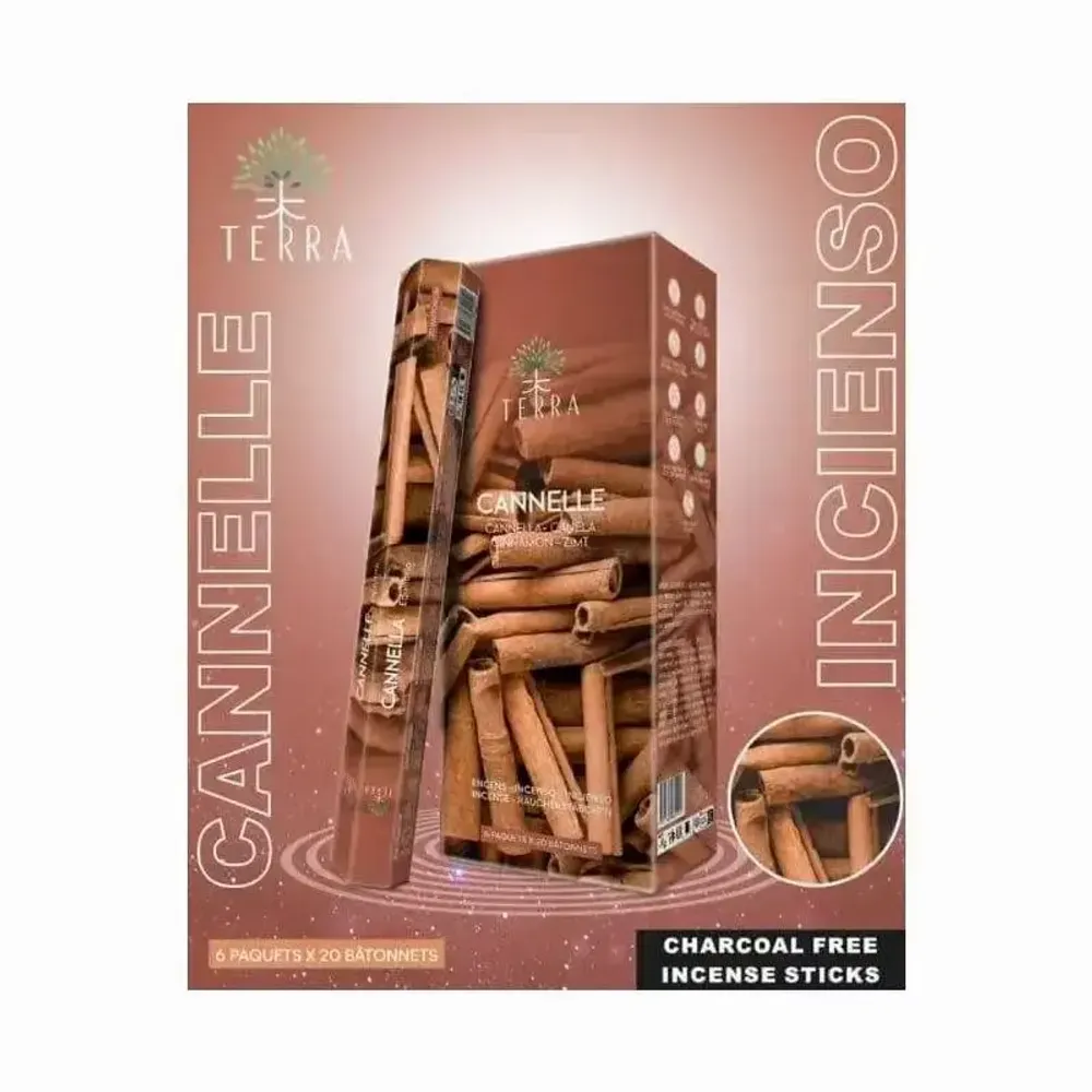 Scents - Terra cinnamon hexa incense without charcoal 30grs - ARABESK
