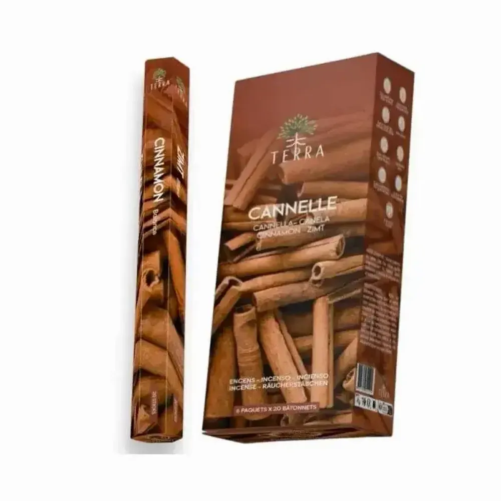 Scents - Terra cinnamon hexa incense without charcoal 30grs - ARABESK