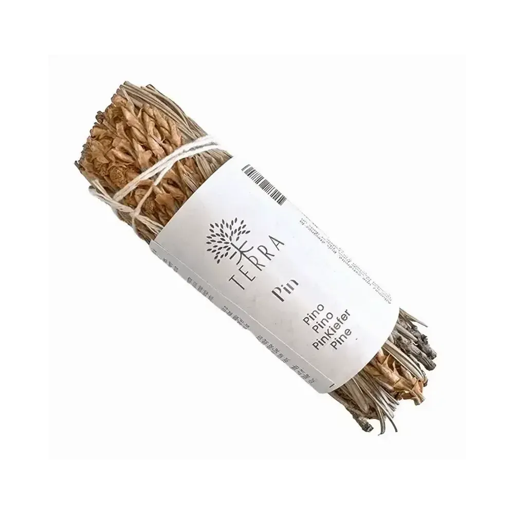 Scents - Pine bundle 25-30gr 10cm - ARABESK