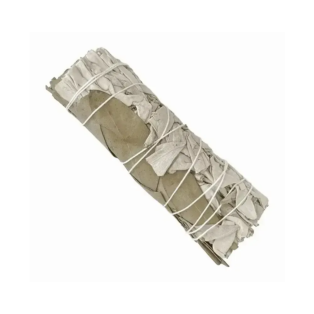 Senteurs - Sauge Blanche & Eucalyptus Dollar Fagot 25-30g 10cm - ARABESK