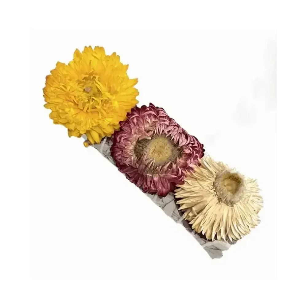 Senteurs - Sauge Blanche & Fleur de Paille Fagot 25-30gr 10cm - ARABESK