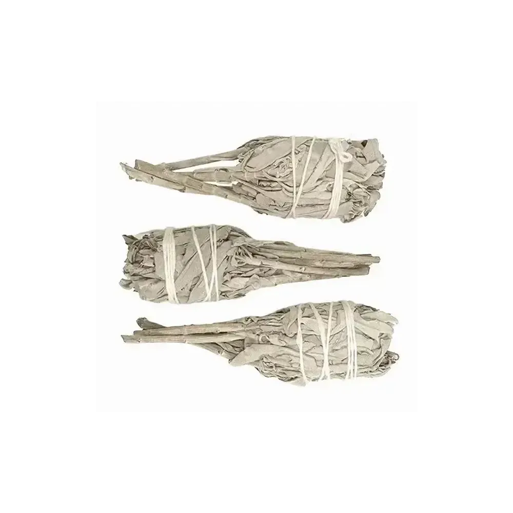 Senteurs - Sauge Blanche Californie Torche sous Blister x3 25-30g 11cm - ARABESK