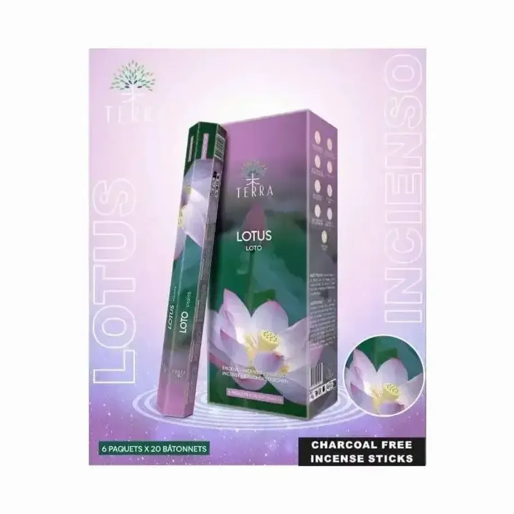 Senteurs - Encens Terra Lotus hexa sans charbon 30grs - ARABESK