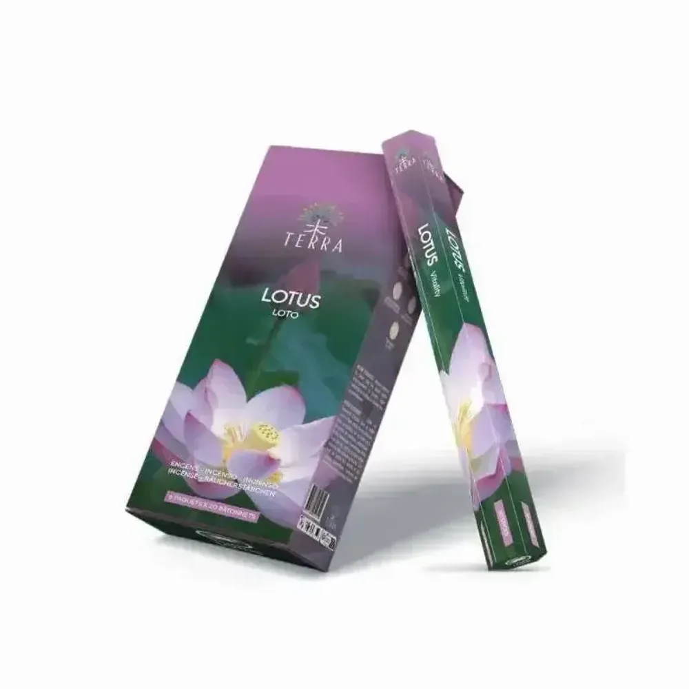 Senteurs - Encens Terra Lotus hexa sans charbon 30grs - ARABESK