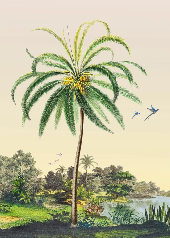Poster - Coconut Tree Illustration - PARADISIO IMAGINARIUM