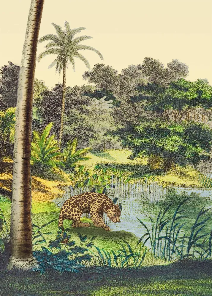 Poster - Coconut Tree Illustration - PARADISIO IMAGINARIUM