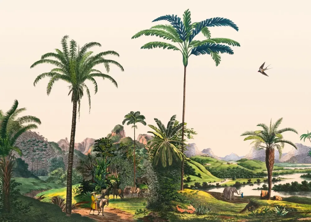 Affiches - Illustration Sur les rive du Mékong - PARADISIO IMAGINARIUM