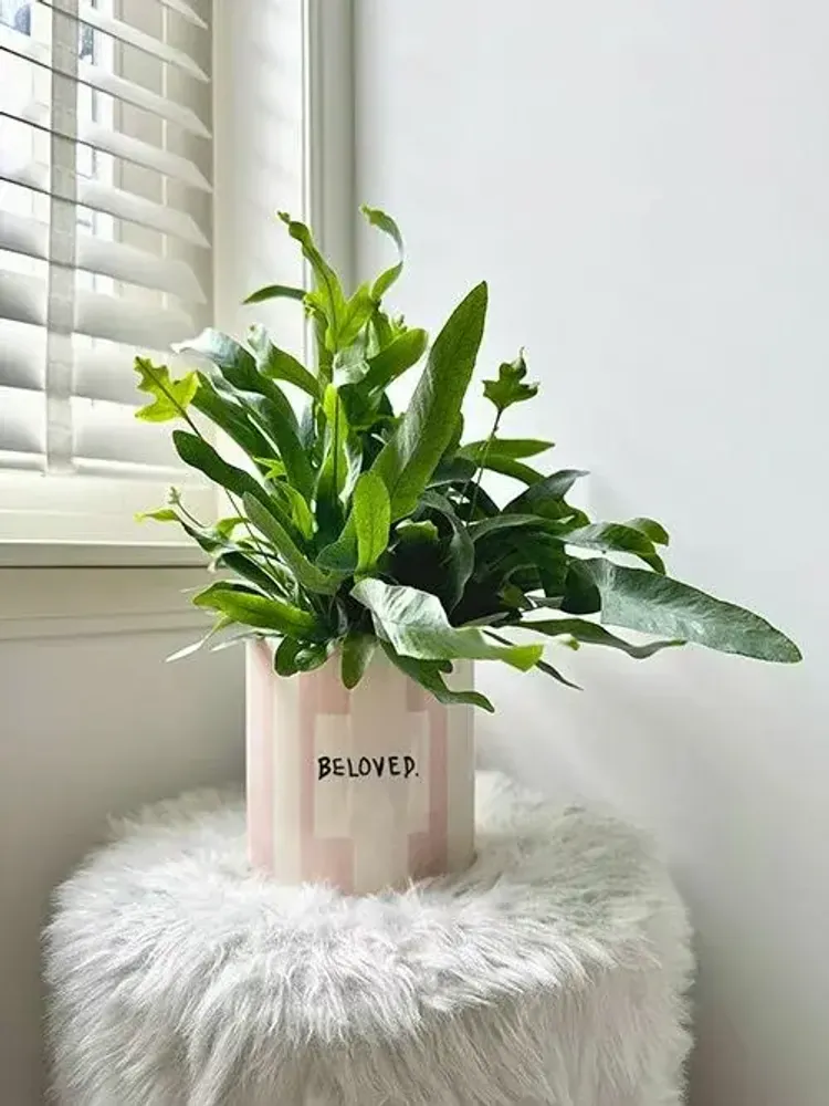 Vases - Pot beloved - AND NOOK