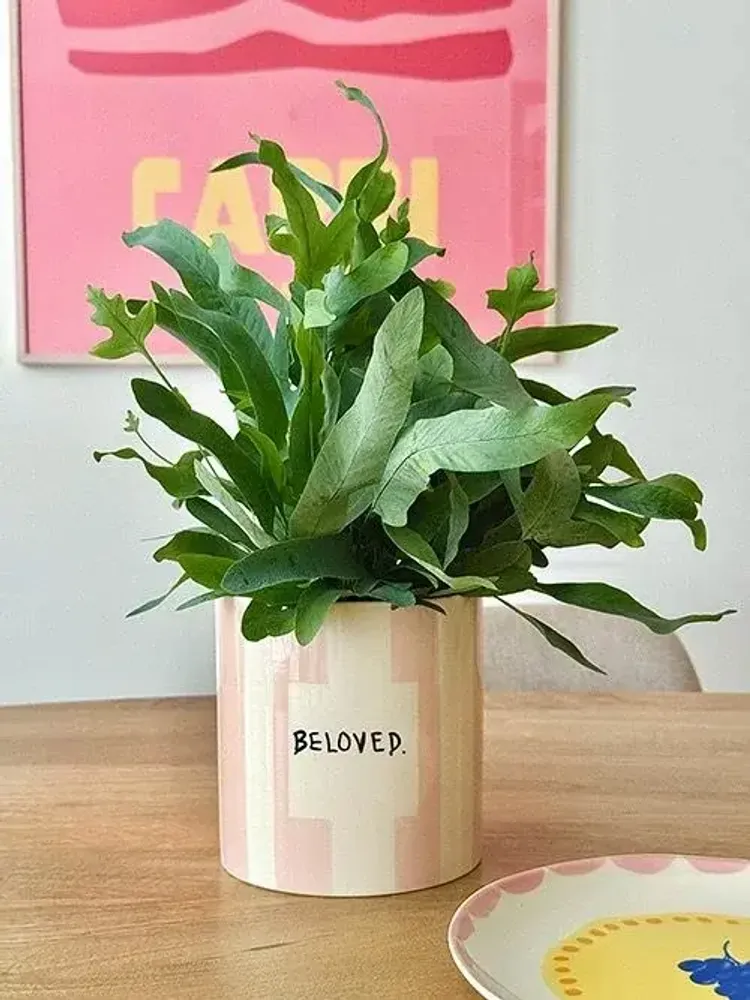 Vases - Pot beloved - AND NOOK