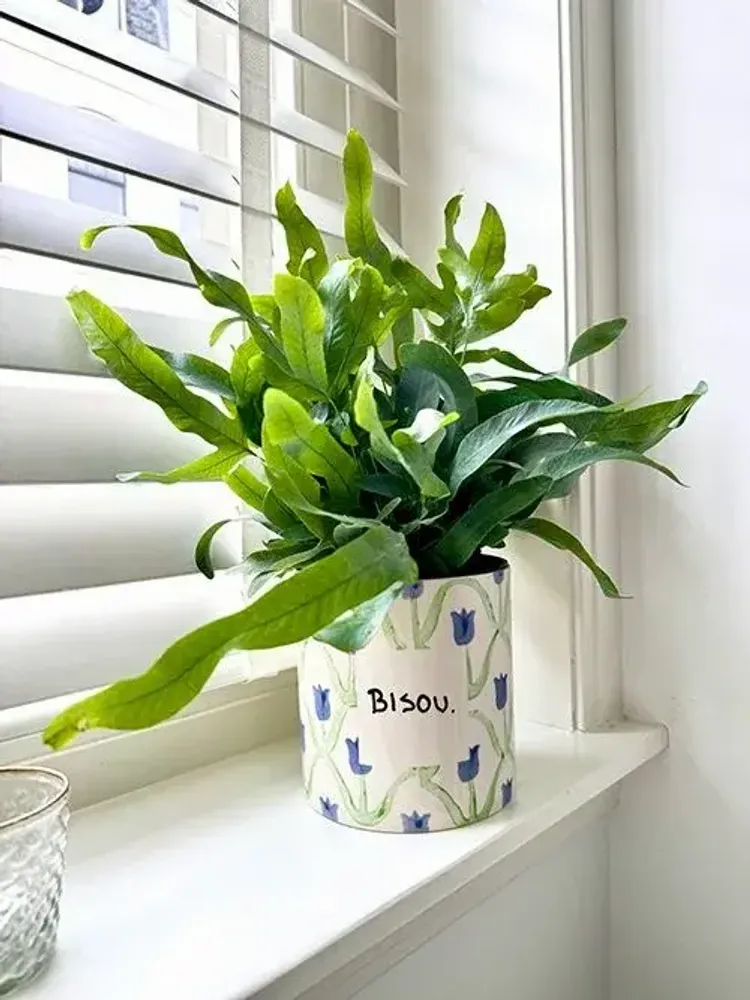 Vases - Pot bisou - AND NOOK