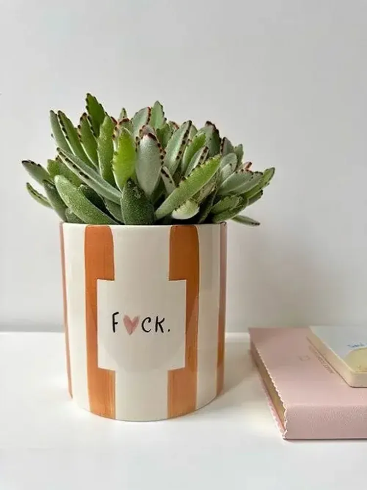 Vases - Pot f*ck - AND NOOK