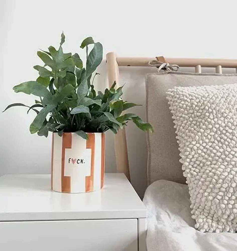 Vases - Pot f*ck - AND NOOK