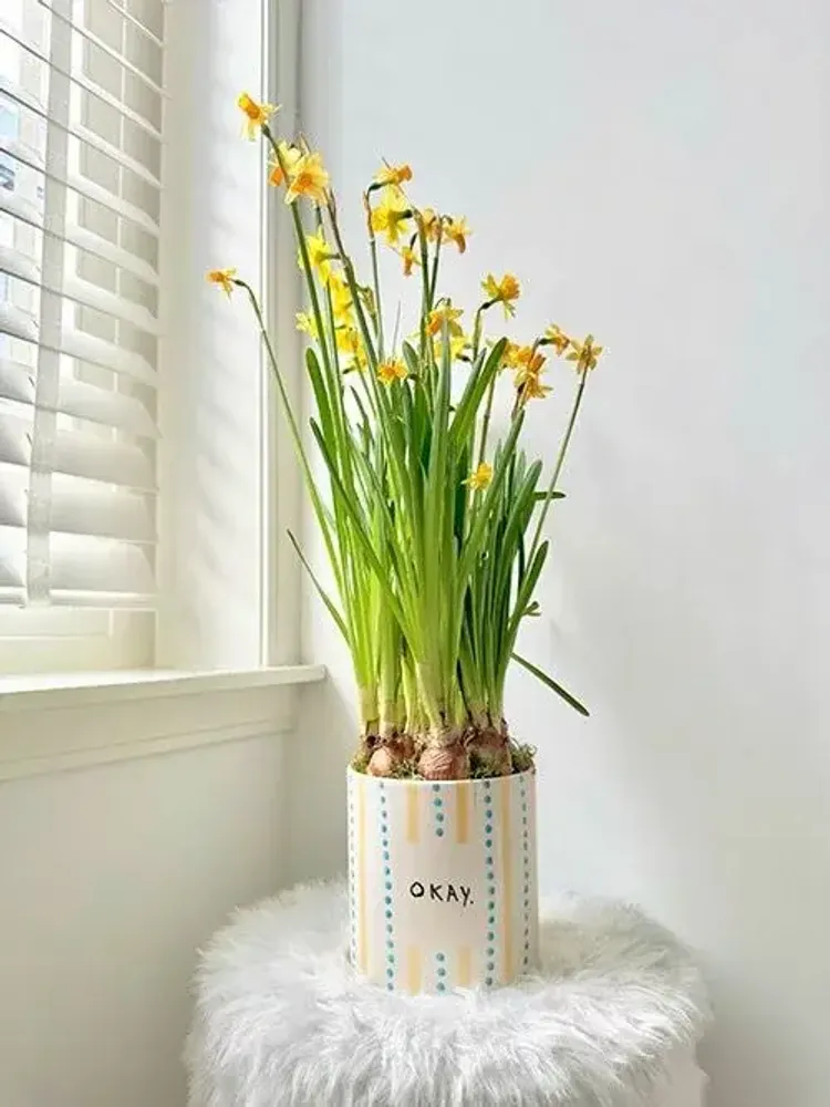 Vases - Pot okay - AND NOOK