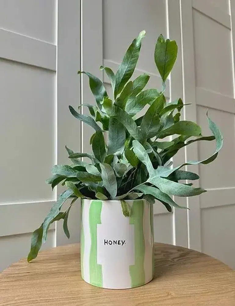 Vases - Pot honey - AND NOOK