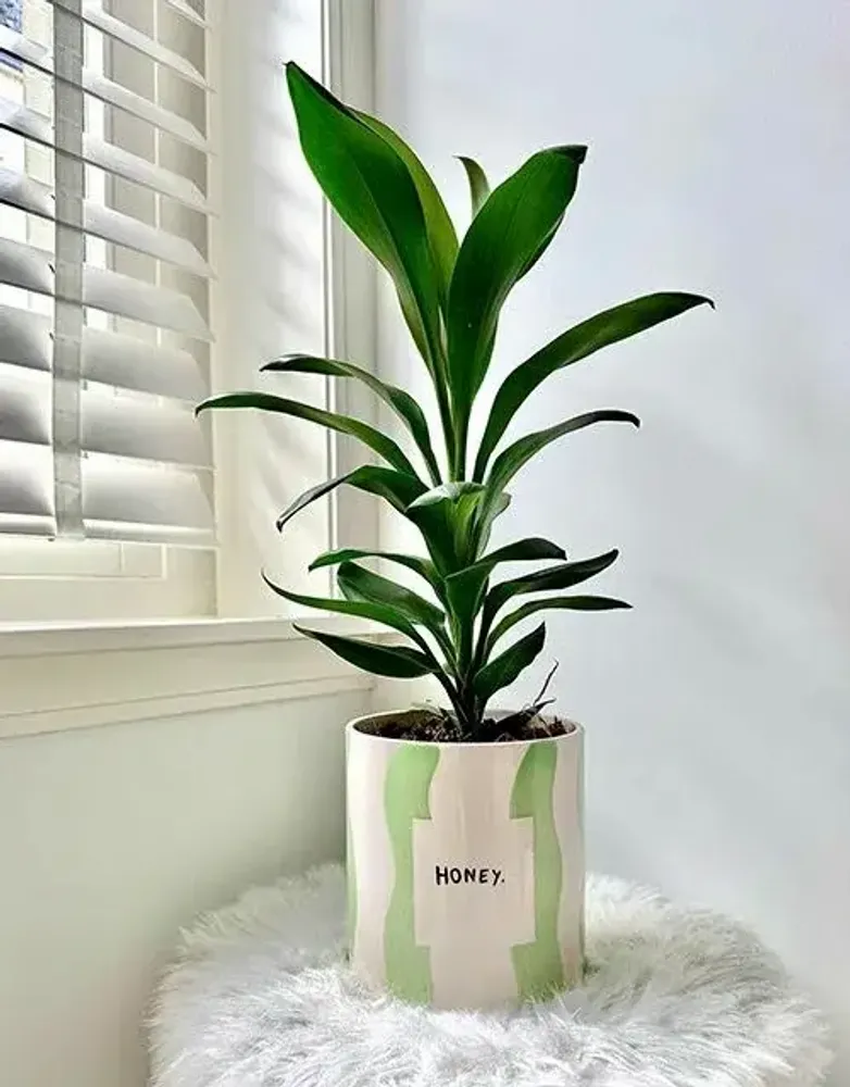 Vases - Pot honey - AND NOOK