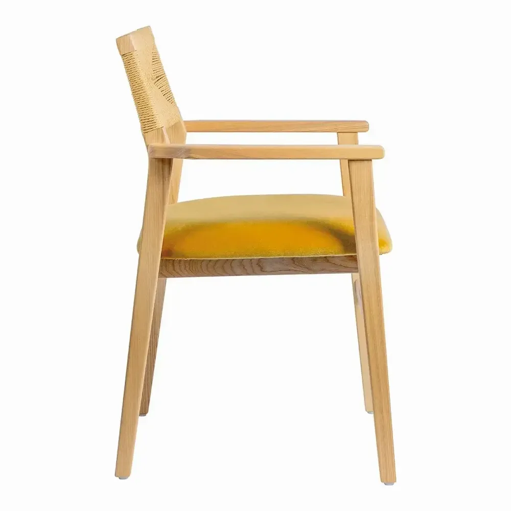Chaises - Chaise PALOMA velours safran frêne finition bois blond 60,5x54x87 - BLANC D'IVOIRE