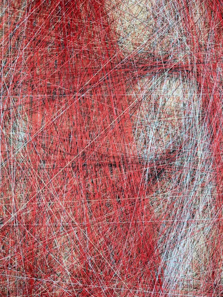 Decorative objects - Veil of Passion / work of art / handmade with the silky threads only - ART NITKA
