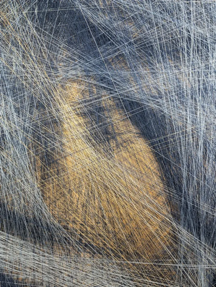 Pièces uniques - Mystère oriental / œuvre d'art aux fils de soie / art contemporain - ART NITKA