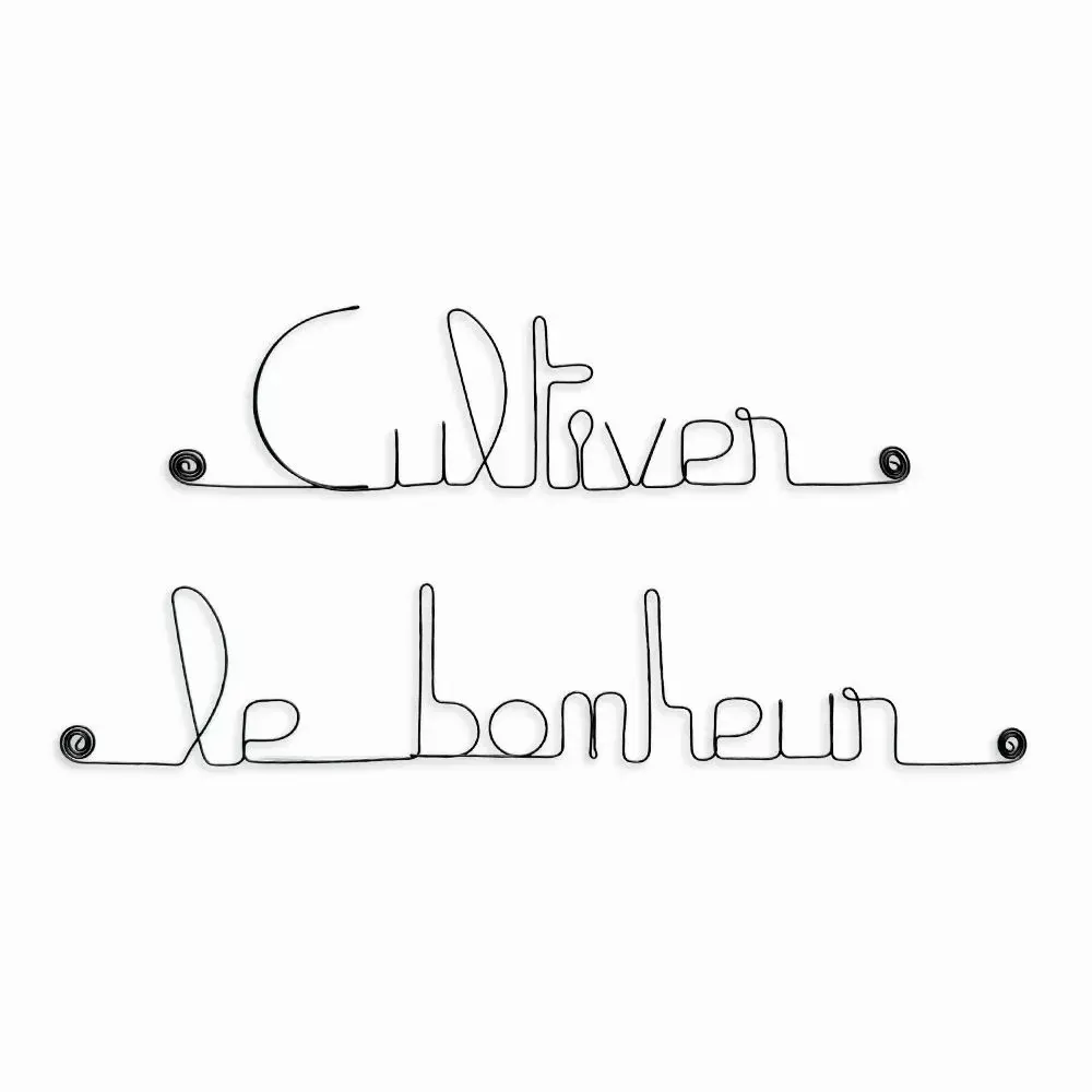 Other wall decoration - Wire wall decoration\” Cultivating happiness\” to pin - BIJOUX DE MUR