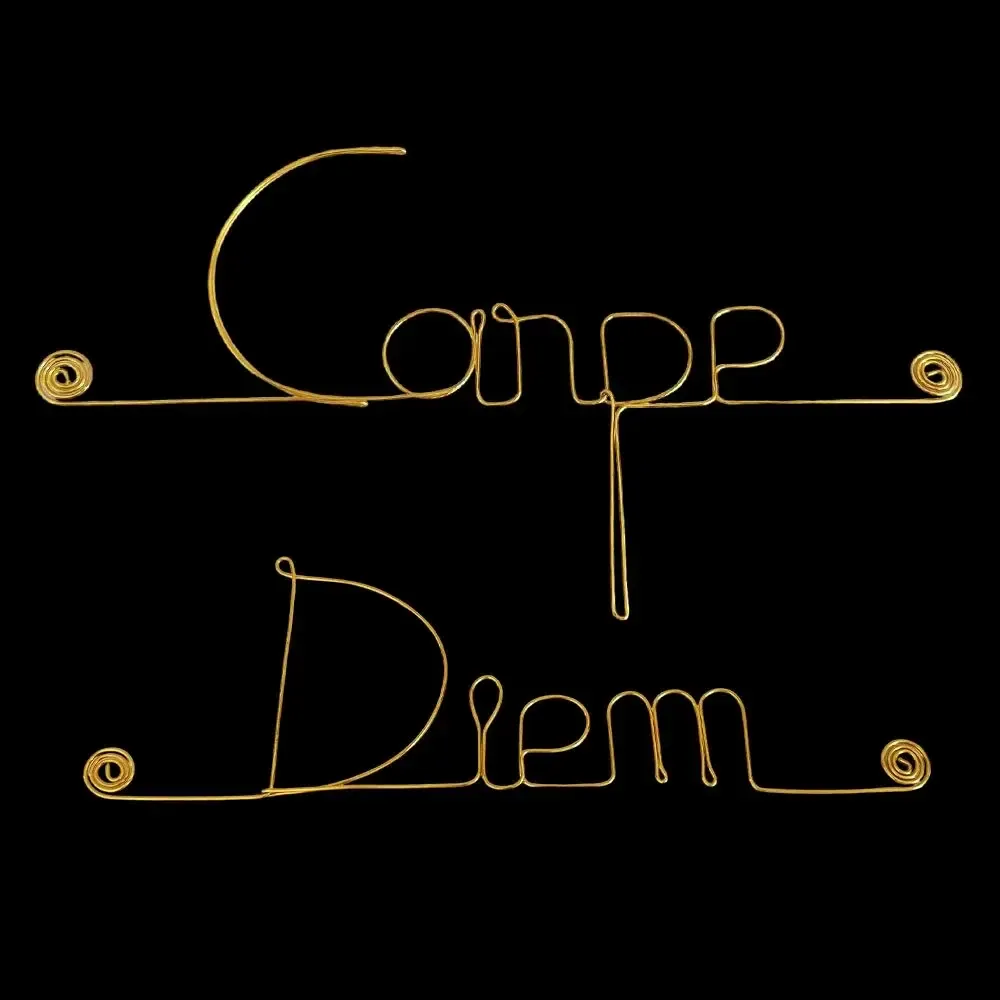 Other wall decoration - Gold Brass Wire Wall Decoration " Carpe Diem ” - to be pinned - BIJOUX DE MUR