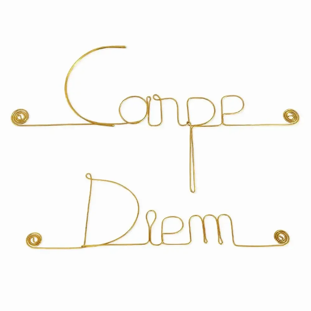 Other wall decoration - Gold Brass Wire Wall Decoration " Carpe Diem ” - to be pinned - BIJOUX DE MUR