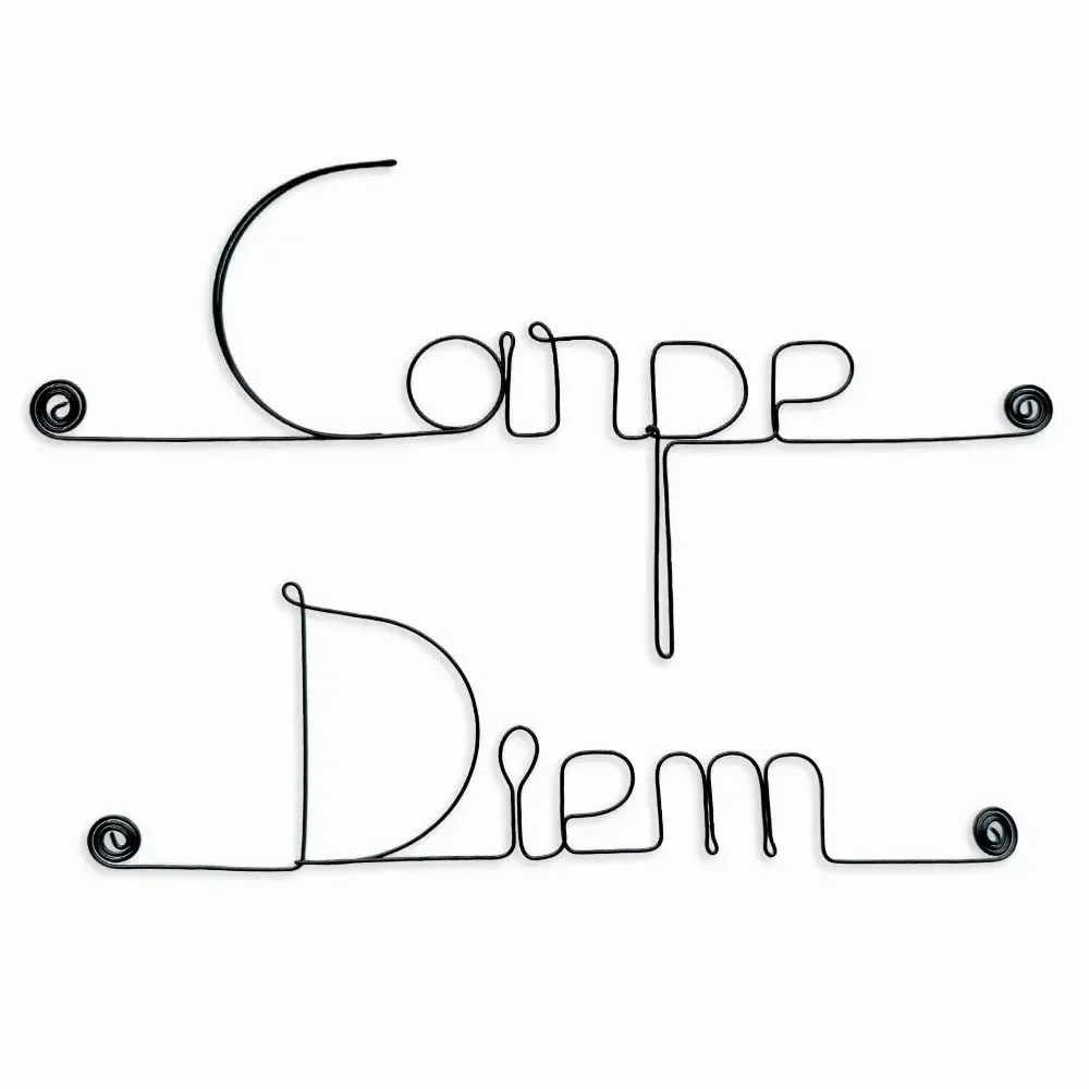 Other wall decoration - Wire wall decoration " Carpe Diem ” - to pin - BIJOUX DE MUR
