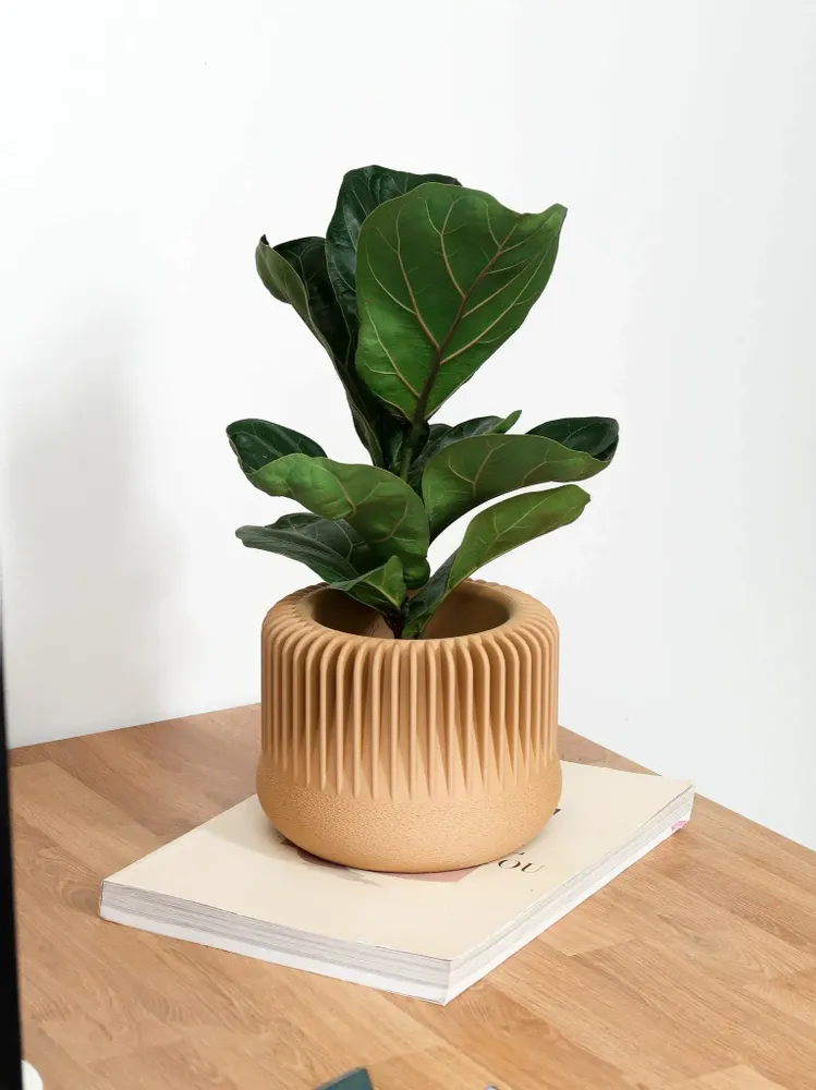 Floral decoration - INDOOR PLANTER - MARENA SUSTAINABLE DESIGN - MENDELEK STUDIO