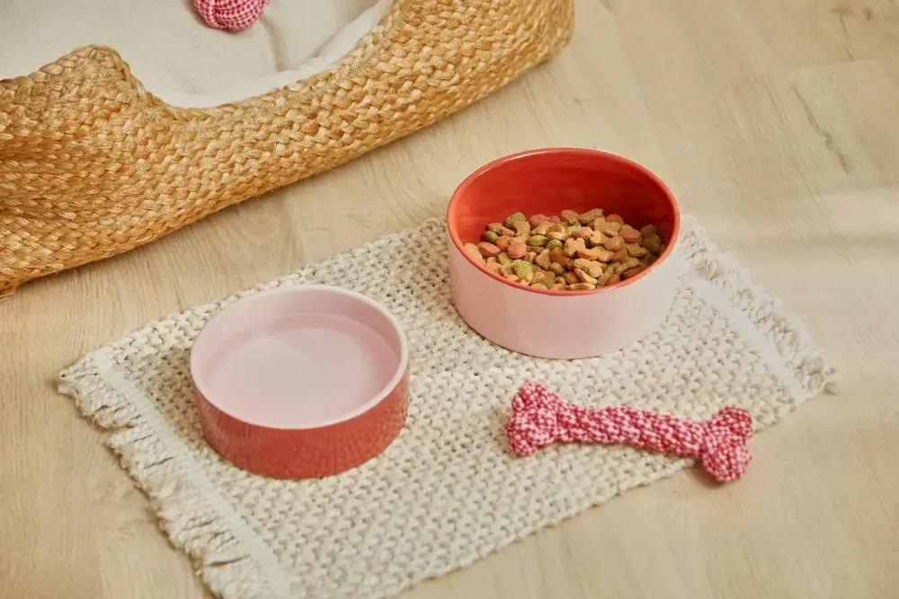 Pet accessories - PET ACCESORIES - CALMA HOUSE