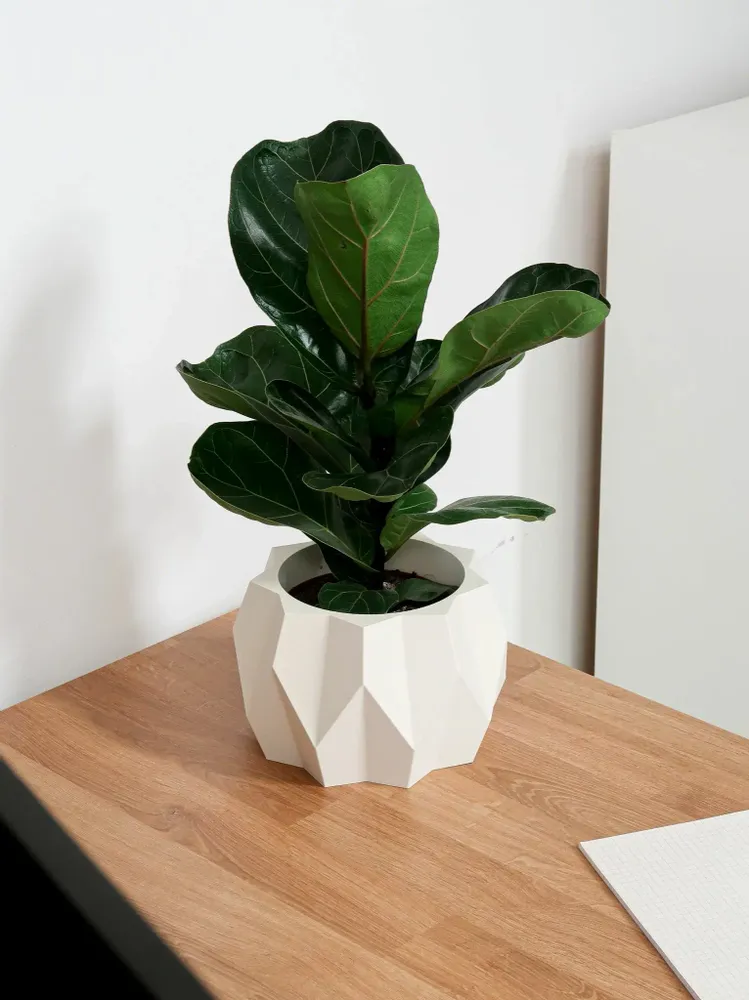 Décorations florales - JARDINIÈRE D'INTÉRIEUR - BIDI SUSTAINABLE DESIGN - MENDELEK STUDIO