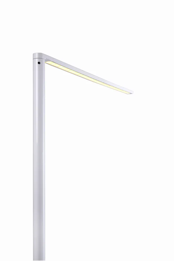 Lampadaires - MATRIX LED lampadaire en noir ou blanc - LUXCAMBRA