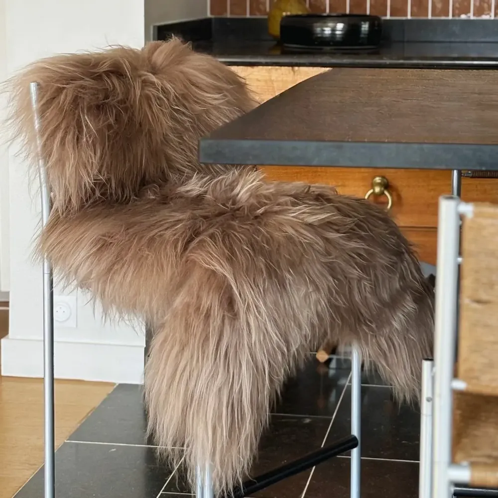 Other caperts - Tinted Icelandic Sheepskin - MAISON THURET
