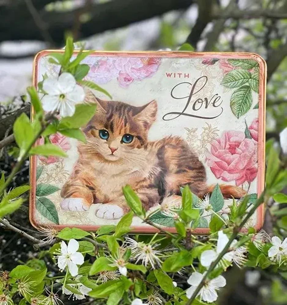 Gifts - Printed metal storage boxes - ESPRIT BRITISH BY MAISON ROYAL GARDEN