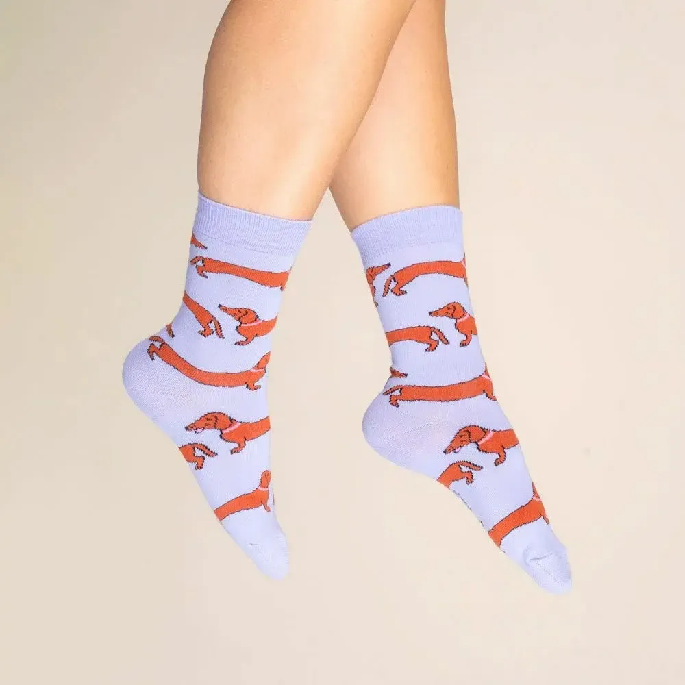 Socks - Dachshund Socks - Coucou Suzette - COUCOU SUZETTE