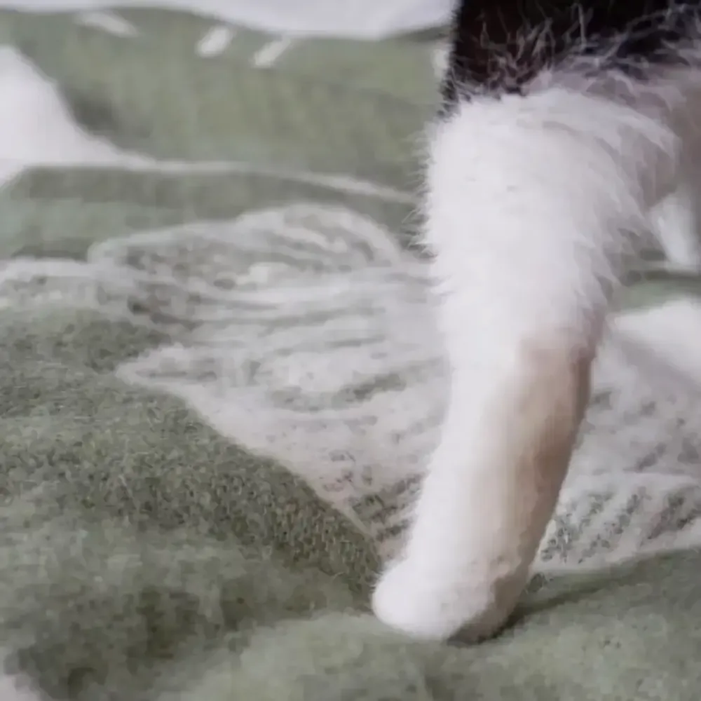 Throw blankets - Wool blanket plaid, Ginkgo Moss Smoke - WOOL ONLY BY JOWOLLINA