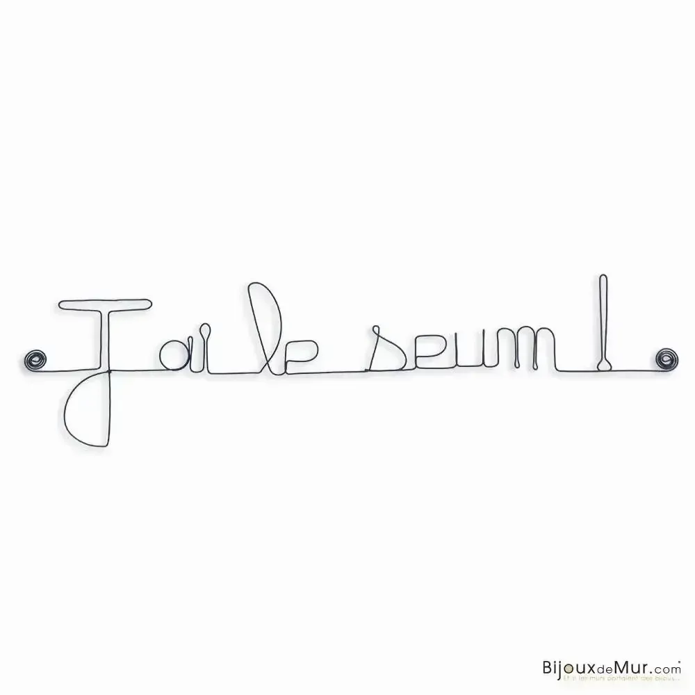 Autres décorations murales - Déco en Fil de Fer Chambre Ado " J'ai le seum ! " - BIJOUX DE MUR