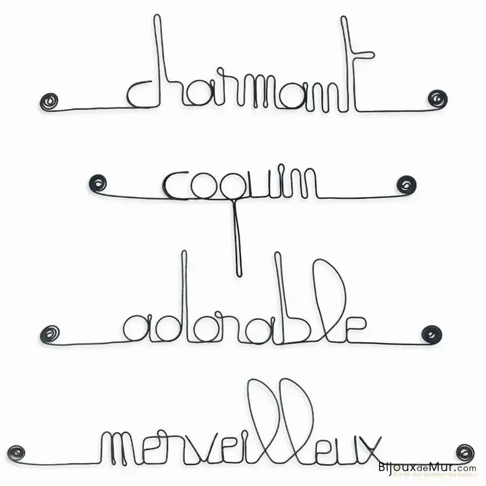 Autres décorations murales - Lot de petits messages en fil de fer - GARÇONNET - BIJOUX DE MUR