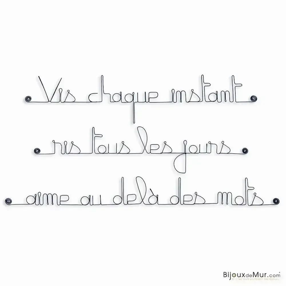 Other wall decoration - Phrase en fil de fer " Vis, ris, aime au delà des mots ... " - BIJOUX DE MUR
