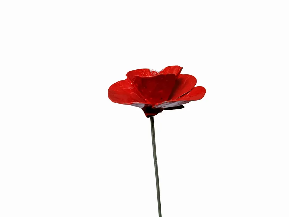 Decorative objects - Poppy Recycled Metal Garden Spike 90cm - TERRE SAUVAGE