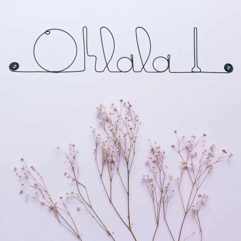 Other wall decoration - Wire Wall Decor " Ohlala! ” - to pin - BIJOUX DE MUR