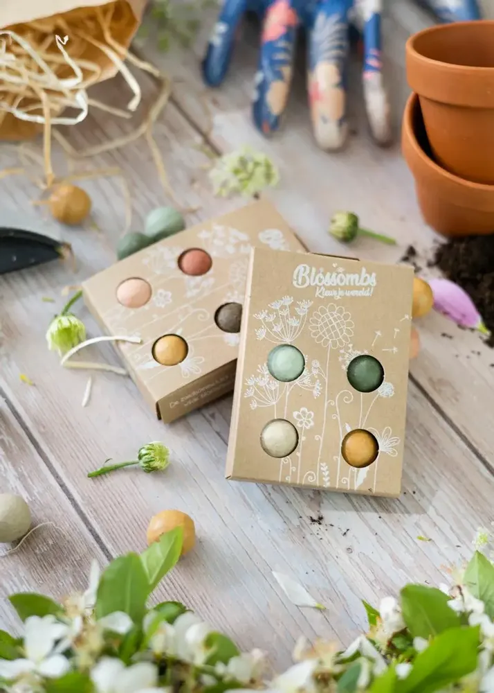 Cadeaux - Petit coffret cadeau avec 4 bombes à graines Blossombs - BLOSSOMBS