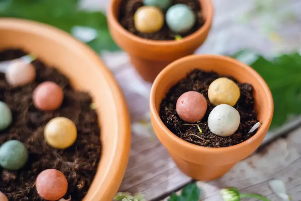 Cadeaux - Le bonheur pousse un jardin - Mini-coffret cadeau biologique - BLOSSOMBS