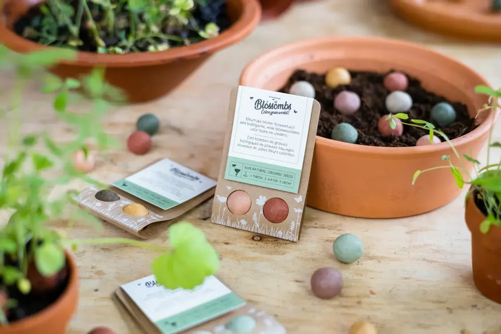 Gifts - Give-Away with 2 Blossombs Seed Bombs - BLOSSOMBS