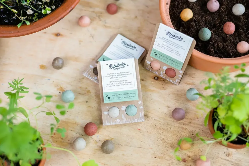 Gifts - Give-Away with 2 Blossombs Seed Bombs - BLOSSOMBS
